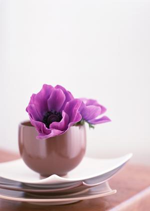 名古屋の美術品鑑定ならこのお店