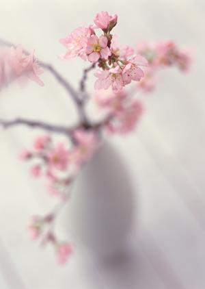 オーダーカーテンを取り入れた部屋づくり