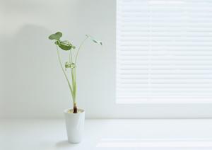 洗練されたデザインの高品質なバスタブ